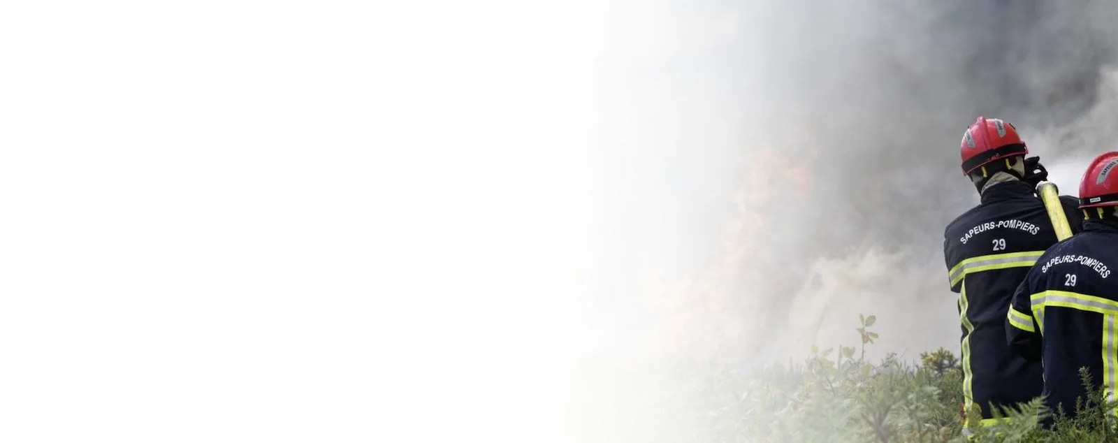 fond représentant SDIS Web