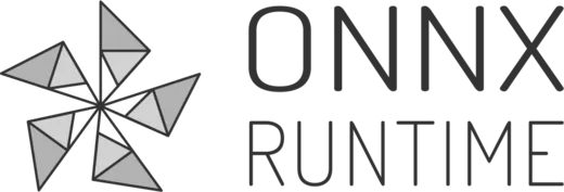ONNX Runtime